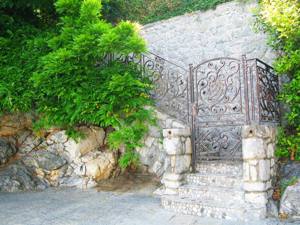 Villa Raisa *